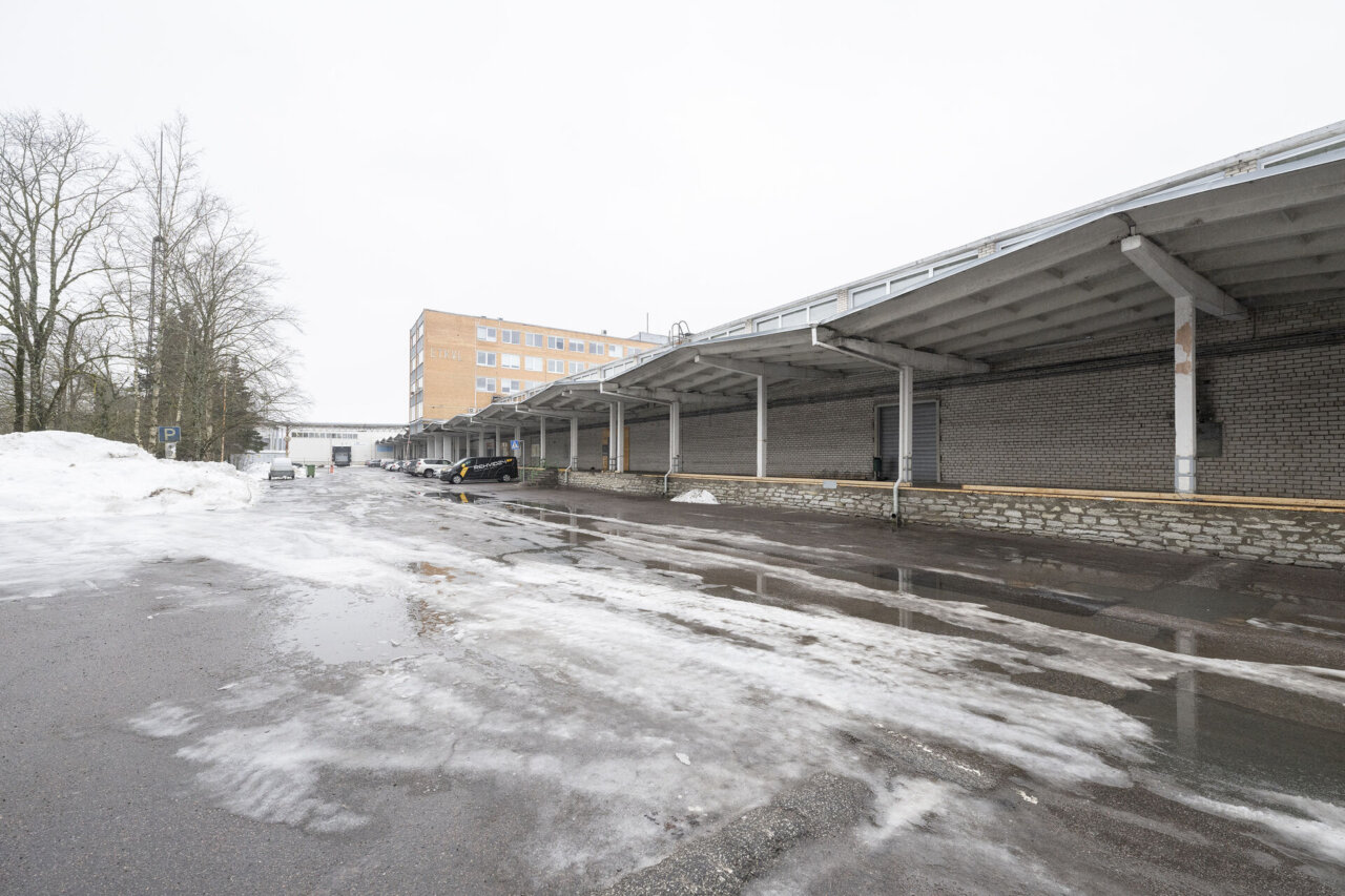 MAHUKAS ÄRIPIND VABANEB JUBA JUUNIS! — Галерея 2